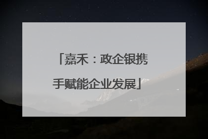 嘉禾：政企银携手赋能企业发展