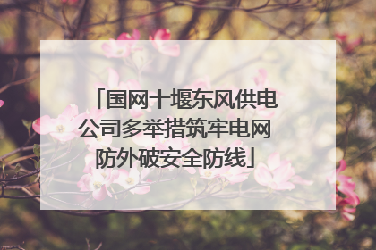 国网十堰东风供电公司多举措筑牢电网防外破安全防线