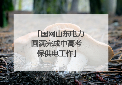 国网山东电力圆满完成中高考保供电工作