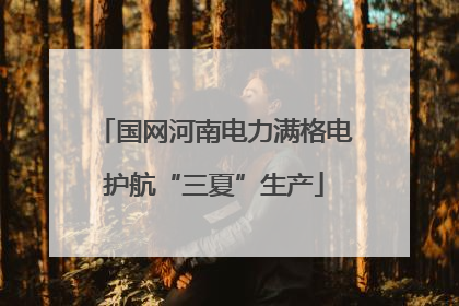 国网河南电力满格电护航“三夏”生产