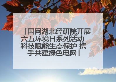 国网湖北经研院开展六五环境日系列活动 科技赋能生态保护 携手共建绿色电网