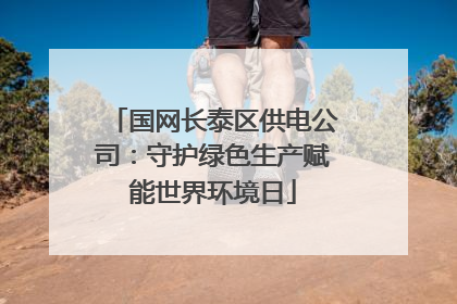 国网长泰区供电公司：守护绿色生产赋能世界环境日