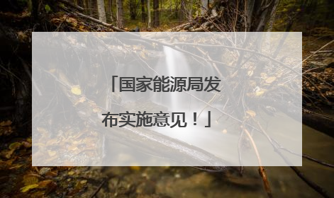 国家能源局发布实施意见！