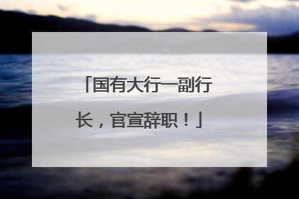 国有大行一副行长，官宣辞职！