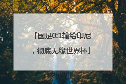 国足0:1输给印尼，彻底无缘世界杯
