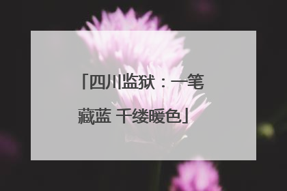 四川监狱：一笔藏蓝 千缕暖色