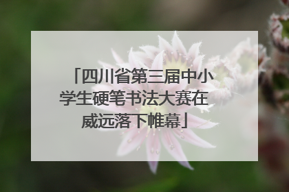 四川省第三届中小学生硬笔书法大赛在威远落下帷幕