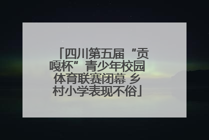四川第五届“贡嘎杯”青少年校园体育联赛闭幕 乡村小学表现不俗