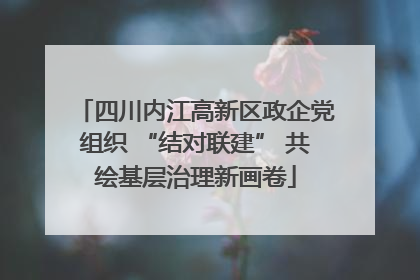 四川内江高新区政企党组织 “结对联建” 共绘基层治理新画卷