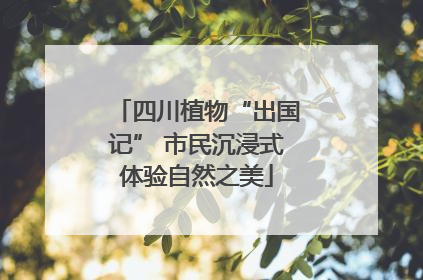 四川植物“出国记” 市民沉浸式体验自然之美