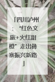 四川泸州：“红色文旅+火红甜橙”走出彝寨振兴新路
