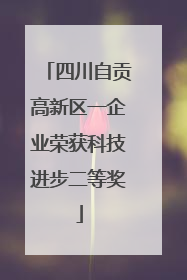 四川自贡高新区一企业荣获科技进步二等奖