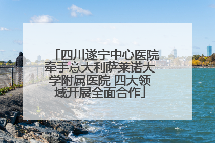 四川遂宁中心医院牵手意大利萨莱诺大学附属医院 四大领域开展全面合作