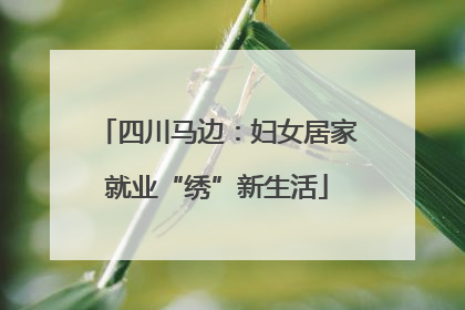 四川马边：妇女居家就业“绣”新生活