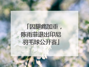 因腿痛加重，陈雨菲退出印尼羽毛球公开赛
