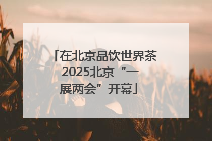 在北京品饮世界茶 2025北京“一展两会”开幕