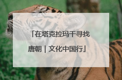 在塔克拉玛干寻找唐朝｜文化中国行
