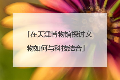 在天津博物馆探讨文物如何与科技结合