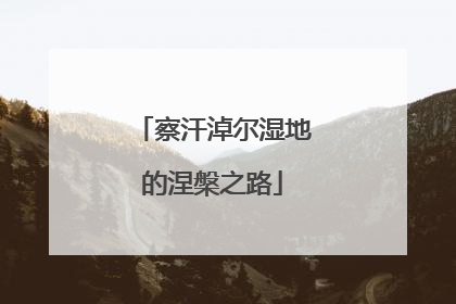 察汗淖尔湿地的涅槃之路