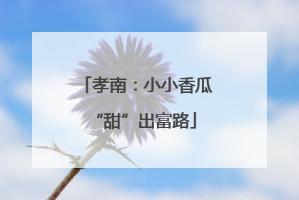 孝南：小小香瓜 “甜”出富路