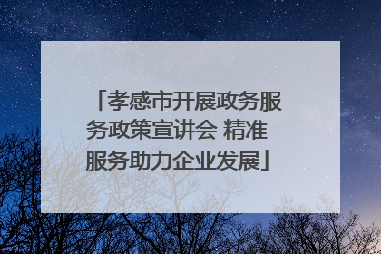 孝感市开展政务服务政策宣讲会 精准服务助力企业发展