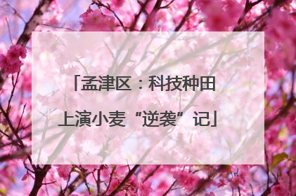 孟津区：科技种田 上演小麦“逆袭”记