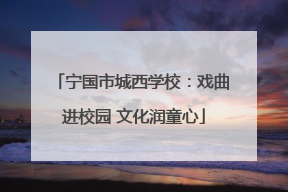宁国市城西学校：戏曲进校园 文化润童心