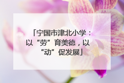 宁国市津北小学：以“劳”育美德，以“动”促发展