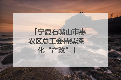 宁夏石嘴山市惠农区总工会持续深化“产改”