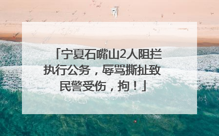 宁夏石嘴山2人阻拦执行公务，辱骂撕扯致民警受伤，拘！