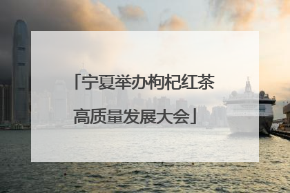 宁夏举办枸杞红茶高质量发展大会