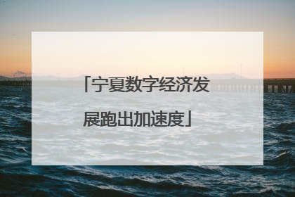 宁夏数字经济发展跑出加速度