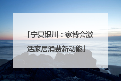 宁夏银川：家博会激活家居消费新动能