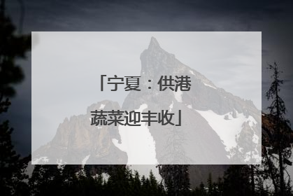 宁夏：供港蔬菜迎丰收