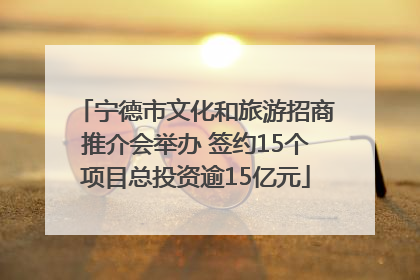 宁德市文化和旅游招商推介会举办 签约15个项目总投资逾15亿元