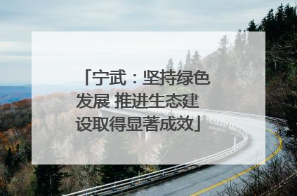 宁武：坚持绿色发展 推进生态建设取得显著成效