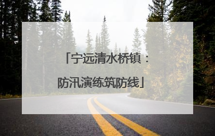 宁远清水桥镇：防汛演练筑防线