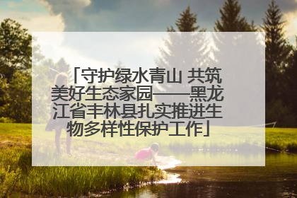 守护绿水青山 共筑美好生态家园——黑龙江省丰林县扎实推进生物多样性保护工作