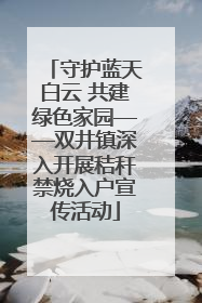 守护蓝天白云 共建绿色家园——双井镇深入开展秸秆禁烧入户宣传活动