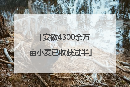 安徽4300余万亩小麦已收获过半