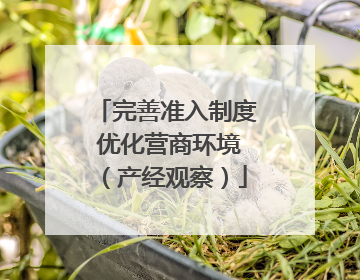 完善准入制度 优化营商环境（产经观察）