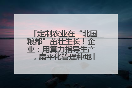 定制农业在“北国粮都”茁壮生长！企业：用算力指导生产，扁平化管理种地