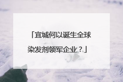 宜城何以诞生全球染发剂领军企业？