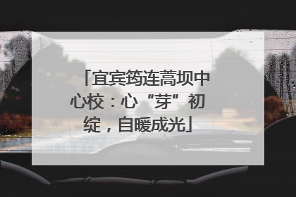 宜宾筠连蒿坝中心校：心“芽”初绽，自暖成光