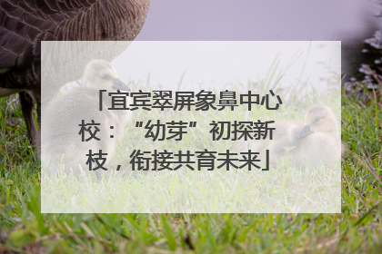 宜宾翠屏象鼻中心校：“幼芽”初探新枝，衔接共育未来