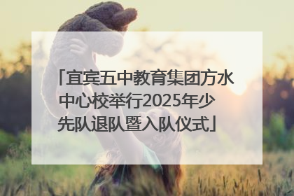 宜宾五中教育集团方水中心校举行2025年少先队退队暨入队仪式