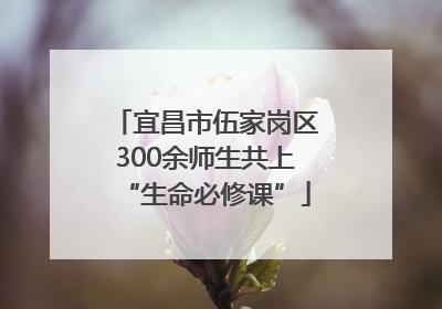 宜昌市伍家岗区300余师生共上“生命必修课”