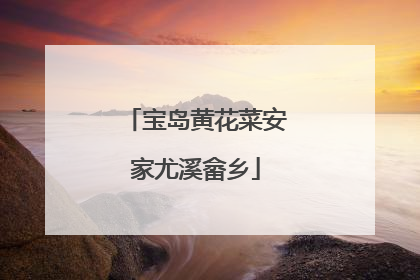 宝岛黄花菜安家尤溪畲乡