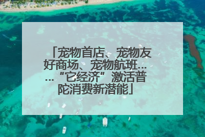 宠物首店、宠物友好商场、宠物航班……“它经济”激活普陀消费新潜能