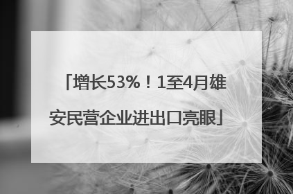 增长53%！1至4月雄安民营企业进出口亮眼